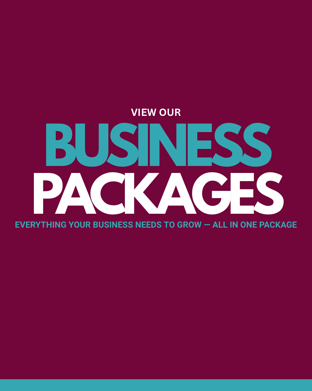 BUSINESS PACKAGES
